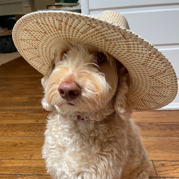 hatattack Packable Hat - NEW w/ TAGS - Picture 2 of 4